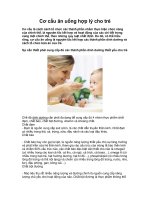 Cơ cấu ăn uống hợp lý cho trẻ ppsx