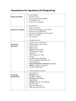 expressions for agreeing and disagreeing