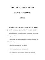 HỘI CHỨNG NHIỄM KHUẨN (SEPSIS SYNDROME) - Phần 2 ppsx