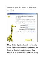 Hội thảo trực tuyến, điều khiển từ xa với 