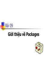 Bài giảng: Giới thiệu về Package ppt