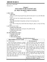 GIAO AN 12 CA NAM 2010