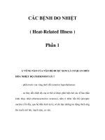 CÁC BỆNH DO NHIỆT ( Heat-Related Illness ) - Phần 1 pdf