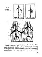 Chuột Gây Hại & Phòng Trừ Bằng Phương Pháp Dân Gian - Vũ Khôi phần 8 pptx