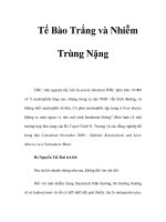 Tế Bào Trắng và Nhiễm Trùng Nặng doc