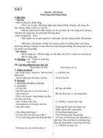 Giáo Án Tiếng Việt Lớp 3_Tuần 7 ppsx