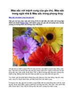 Màu sắc với mệnh cung của gia chủ, Màu sắc trong ngôi nhà & Màu sắc trong phong thủy potx