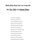 Bình giảng đoạn thơ sau trong bài thơ Tây Tiến của Quang Dũng docx