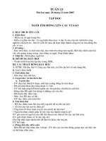 Tuan 13.doc
