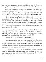 Kỹ Thuật Trồng Cà Phê Mật Độ Dày Cho Năng Suất Cao - Đỗ Trọng Hùng phần 8 pot