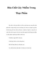 Hóa Chất Gây Nhiễm Trong Thực Phẩm docx