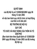 QUY CHẾ TỔ CHỨC VÀ HOẠT ĐỘNG CỦA THÔN VÀ TỔ DÂN PHỐ docx