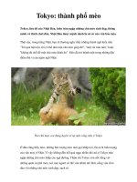 Tokyo: thành phố mèo ppsx