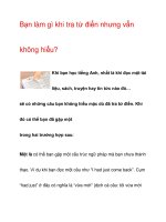 Bạn làm gì khi tra từ điển nhưng vẫn không hiểu? pot