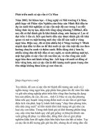 Phát triển nuôi cá sặc rằn ở Cà Mau pdf