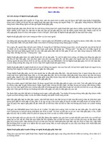 Origami  Việt Nam- Xếp Giấy Nghệ Thuật