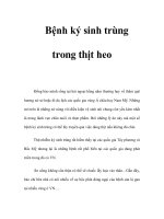 Bệnh ký sinh trùng trong thịt heo pdf