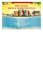 poca snack digital marketing plan