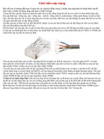 Hướng dẫn bấm cáp mạng pps