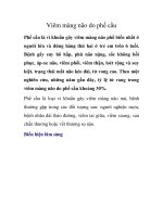 Viêm màng não do phế cầu pot