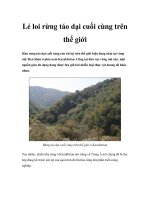 Lẻ loi rừng táo dại cuối cùng trên thế giới pps