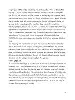 Tổng hợp các văn hóa - lễ hội Việt Nam part 2 pptx