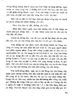 Kỹ Thuật Trồng Cà Phê Mật Độ Dày Cho Năng Suất Cao - Đỗ Trọng Hùng phần 7 pot