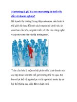 Marketing là gì? Tại sao marketing là thiết yếu đối với doanh nghiệp? doc