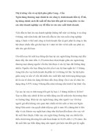 Lệch pha giữa Cung-Cầu trên thị trường vốn doc