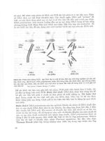 Gen trị liệu: Phương pháp trị liệu bằng Gen - Ts.Nguyễn Văn Kỉnh phần 4 ppsx