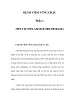 BỆNH VIÊM VÙNG CHẬU - Phần 1 doc