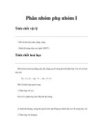 Phân nhóm phụ nhóm I pot