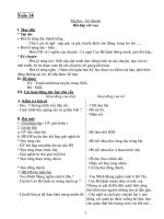 Giáo Án Tiếng Việt Lớp 3_Tuần 24 pps