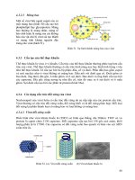 [Vi Sinh Học] Giáo Trình Vi Sinh Đại Học - Ts.Đặng Thị Hoàng Oanh phần 5 pot