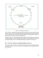 [Vi Sinh Học] Giáo Trình Vi Sinh Đại Học - Ts.Đặng Thị Hoàng Oanh phần 9 potx