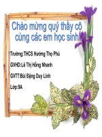 Thuc hanh tong hop 10