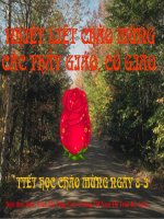 tuan 25 : Bai tho ve tieu doi xe khong kinh