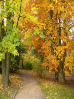 English 12 Unit 15: Reading