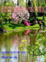 thực hành quan sát lợn