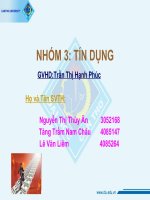 Báo cáo: Tín dụng pptx