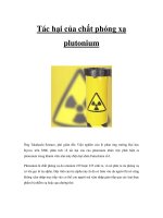 Tác hại của chất phóng xạ plutonium ppt