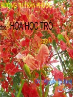 Tập đoc: Hoa học trò