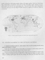 Giáo trình địa lý kinh tế- xã hội Việt Nam part 4 pps