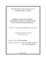 Tóm tắt luận án tiến sĩ khoa học vật liệu nghiên cứu chế tạo cảm biến khí monoxit cacbon và hydrocacbon trên cơ sở oxit perovskite ABO33
