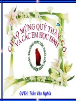 phong trào Cân vương