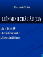 Liên minh châu Âu (EU)