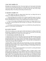 Phân tích cấu trúc vốn của các công ty con ở nước ngoài và thị trường vốn nội bộ c