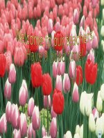 unit 10 - Food and drinh