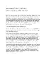 KINH NGHIỆM XÂY DỰNG VÀ PHÁT TRIỂN KIỂM TOÁN NỘI BỘ TẠI MÔT SỐ NƯỚC OECD ppt