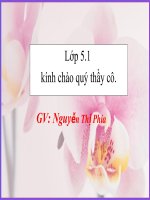 Bài Chia 1 số thập phân cho 1 số tự nhiên